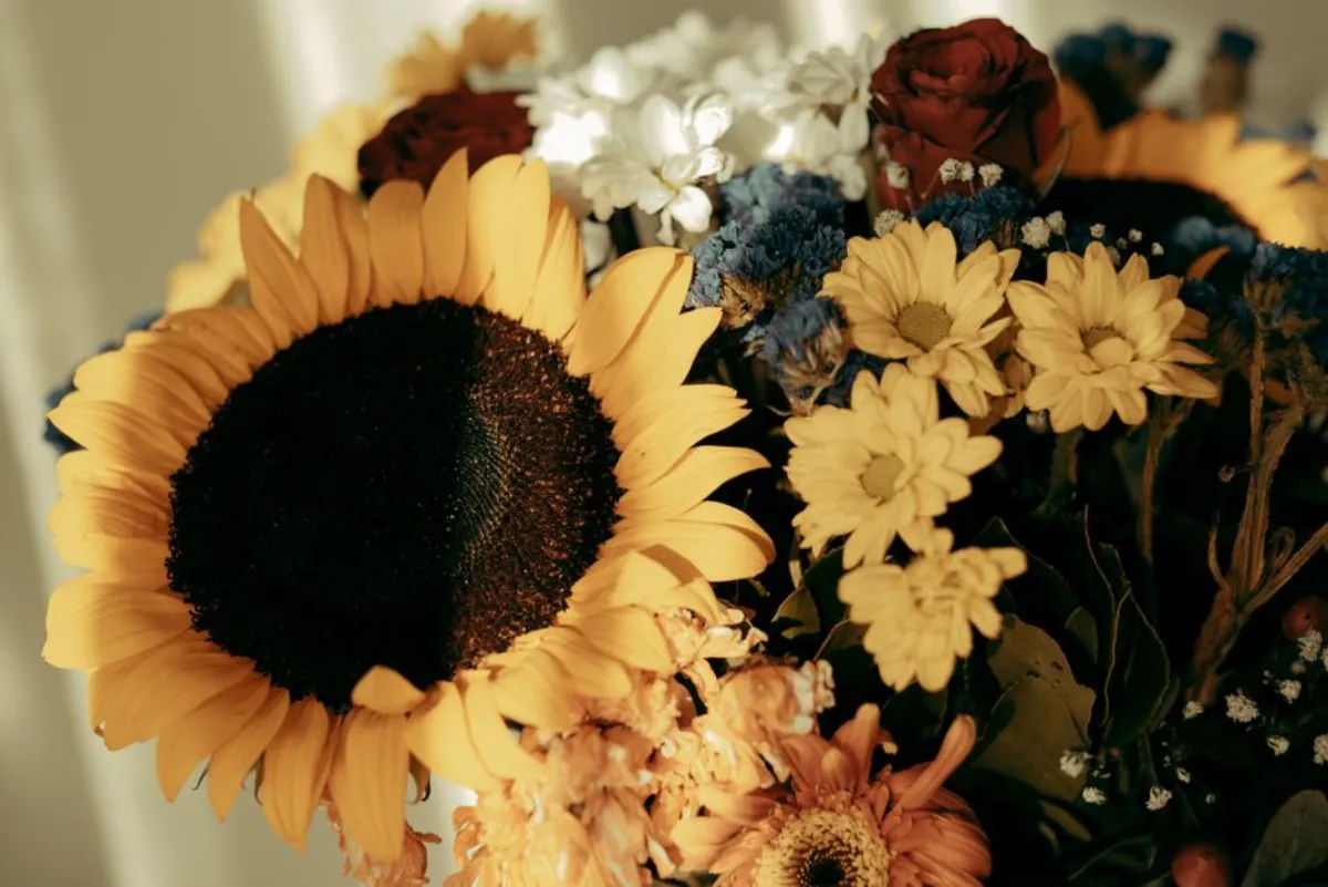 sunflower cinema